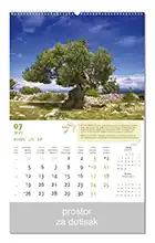 KALENDARI-2027 MASLINE SRPANJ